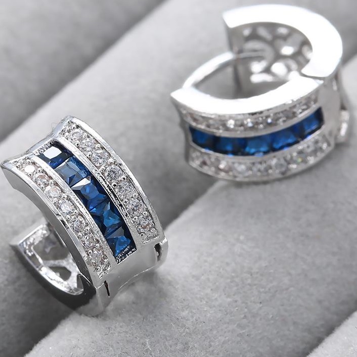 DI-2382 Earrings - Silver/Blue