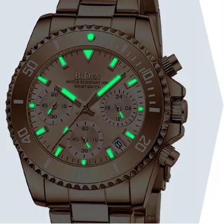 BIDEN WO-14638 Watch - Silver / Purple