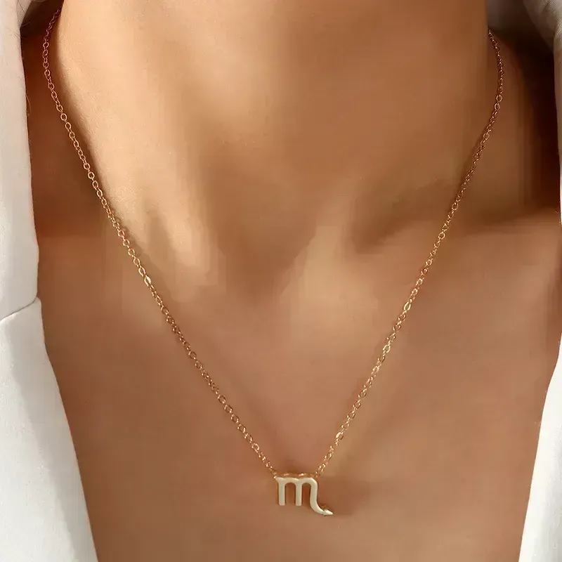 Zodiac Necklace-Silver/Capricorn