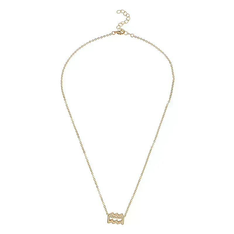Zodiac Necklace-Silver/Capricorn